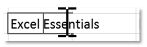 Text pointer - Editing a cell
